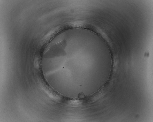 X0000111220161200907091321