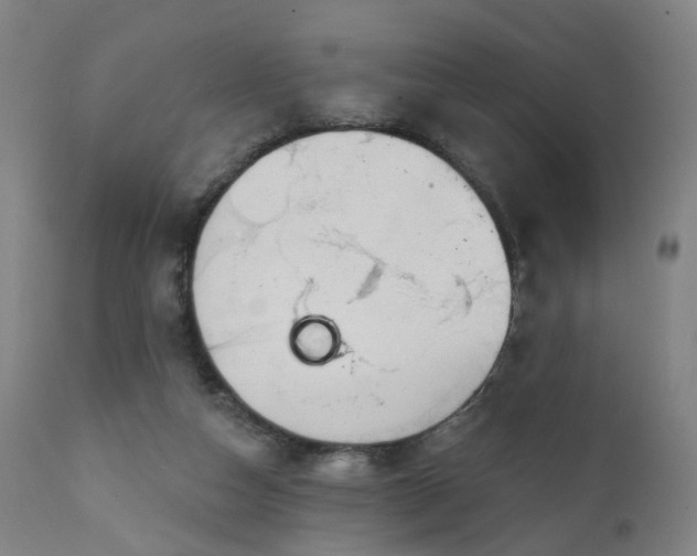 X0000111220162200907091321