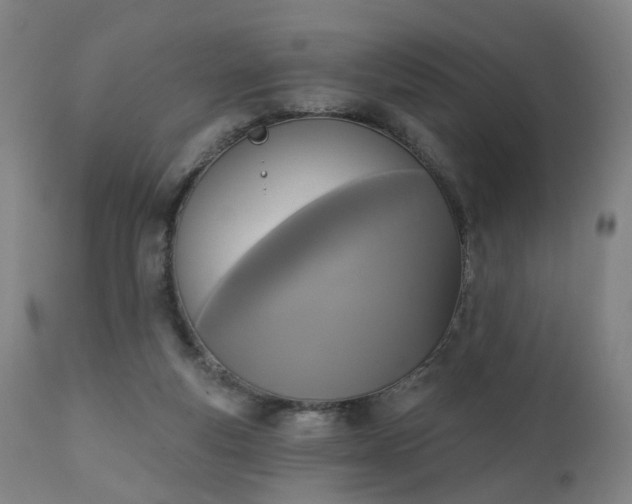 X0000111220163200907091321