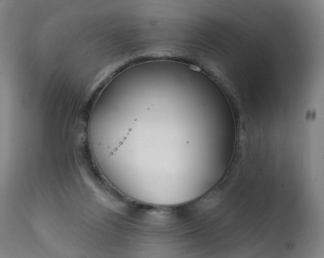 X0000111220164200907091321
