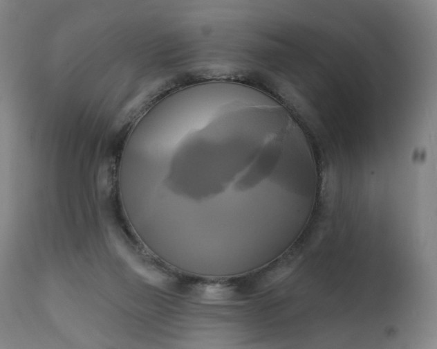 X0000111220165200907091321