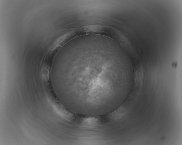 X0000111220168200907091321