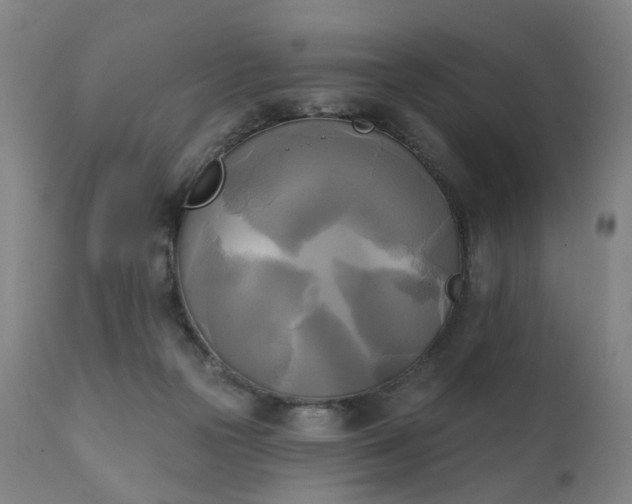X0000111220169200907091321