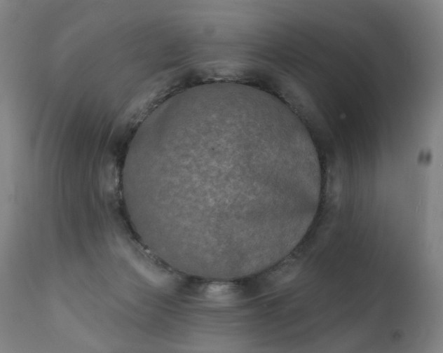 X0000111220173200907091321