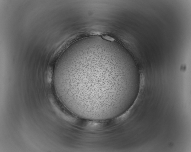 X0000111220174200907091321
