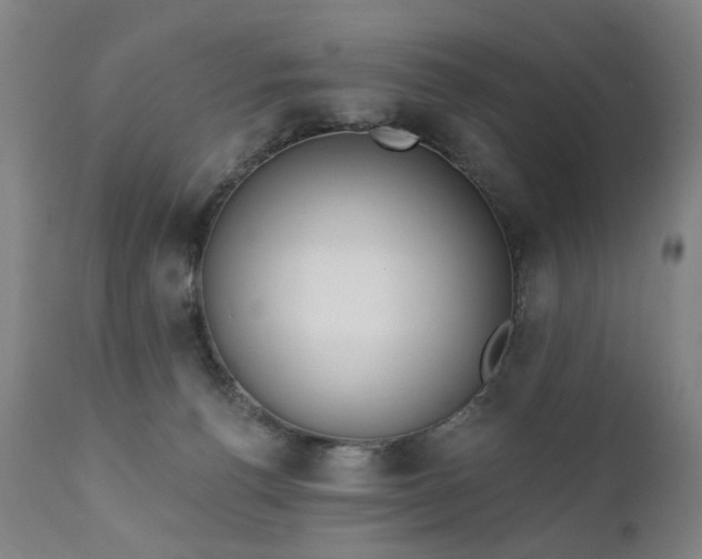 X0000111220176200907091321