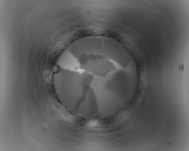 X0000111220177200907091321