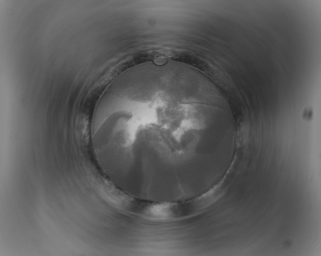 X0000111220178200907091321