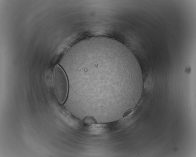 X0000111220179200907091321
