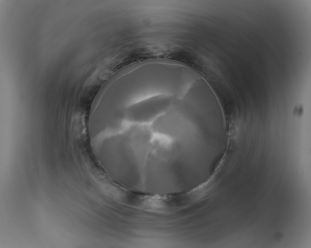 X0000111220182200907091321