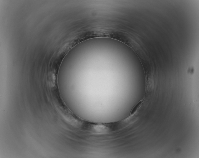 X0000111220183200907091321