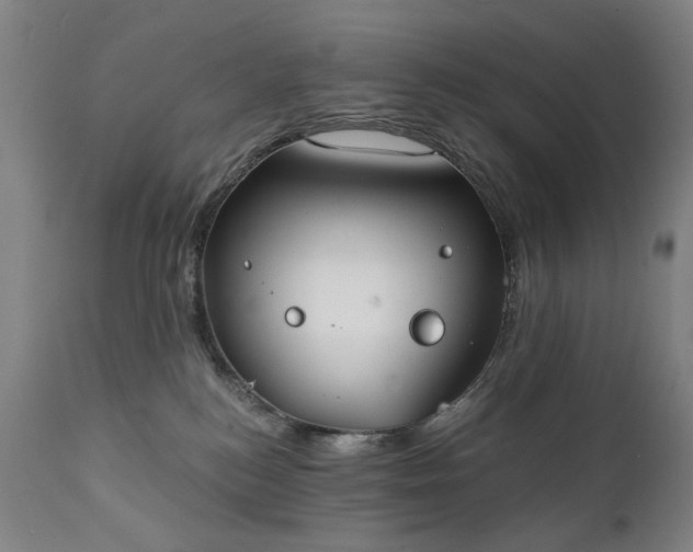 X0000111220184200907091321