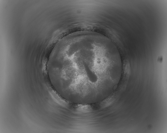 X0000111220185200907091321