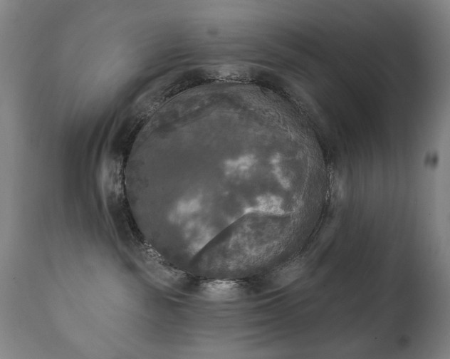 X0000111220189200907091321