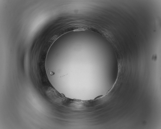 X0000111220190200907091321