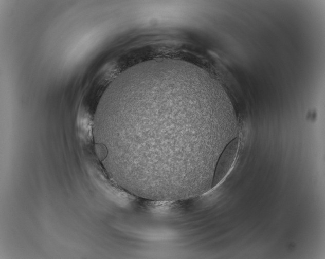 X0000111220191200907091321