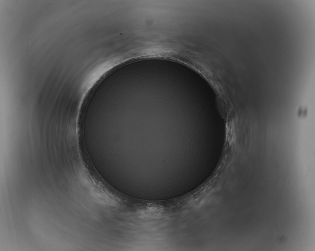 X0000111220196200907091320