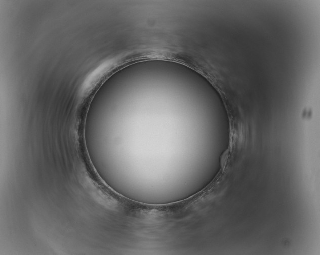 X0000111220197200907091320