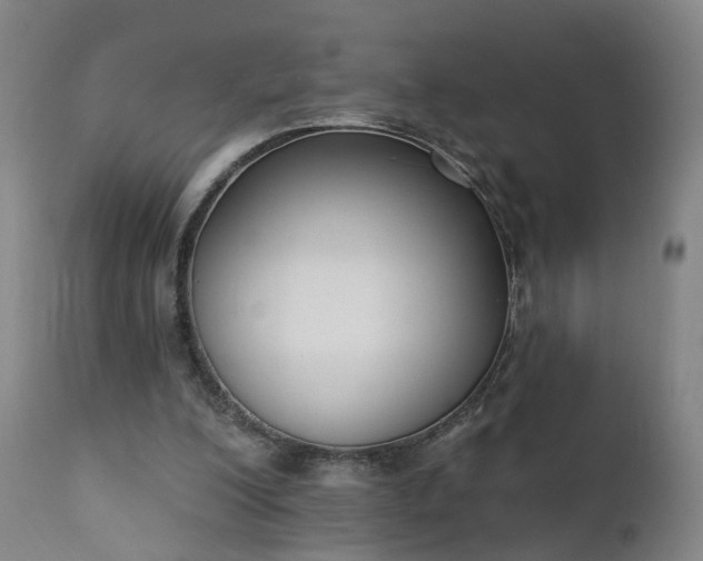 X0000111220200200907091320