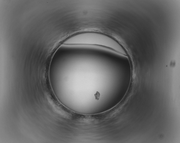 X0000111220201200907091320