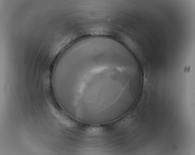X0000111220202200907091320
