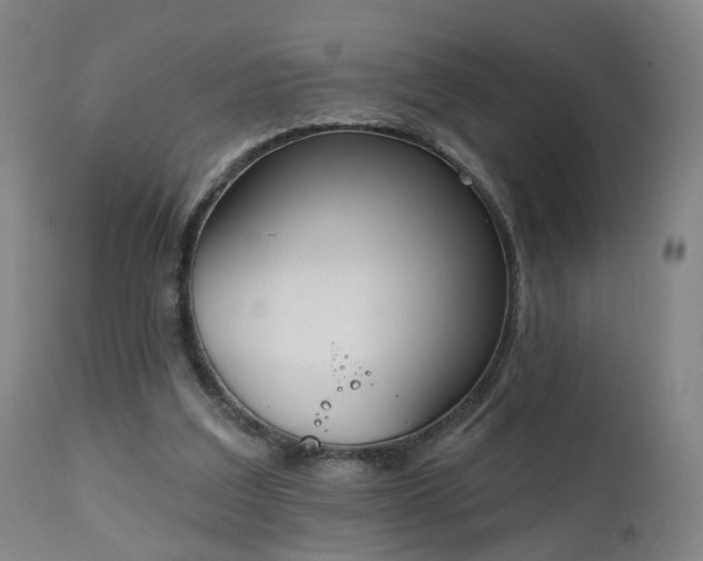 X0000111220203200907091320