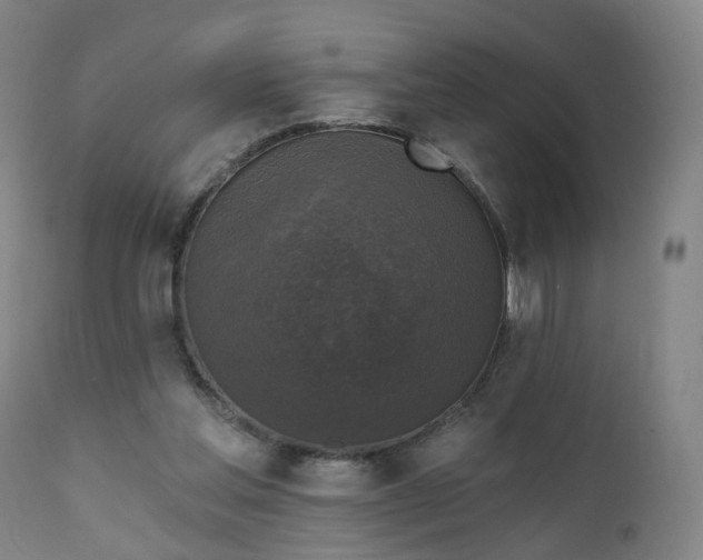 X0000111220205200907091320