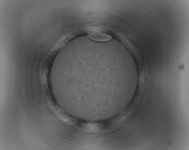 X0000111220209200907091320