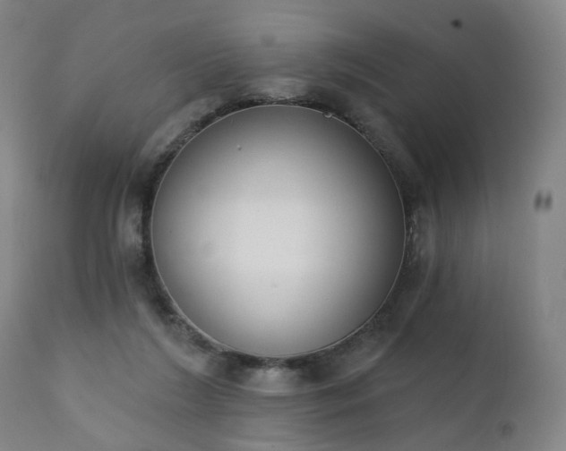 X0000111220212200907091320