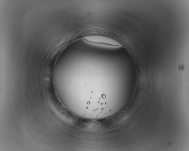 X0000111220215200907091320