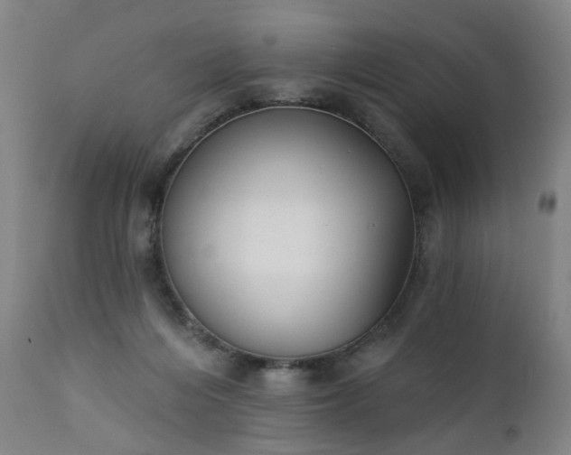 X0000111220216200907091320