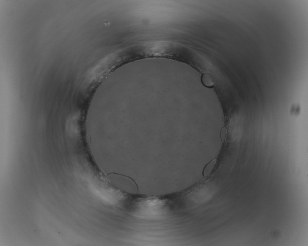 X0000111220217200907091320