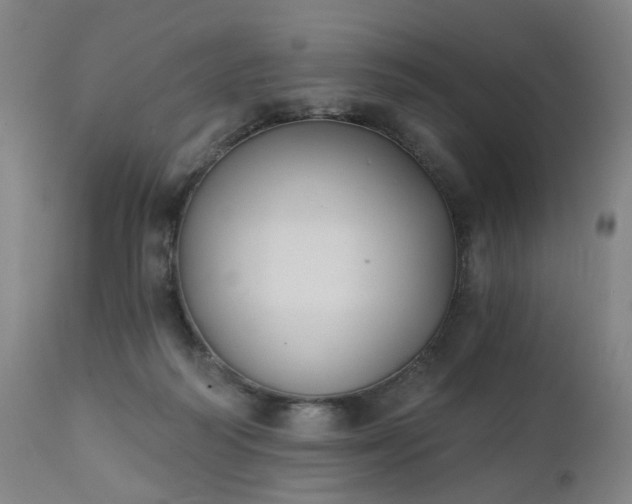 X0000111220218200907091320