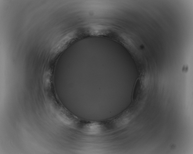 X0000111220219200907091320