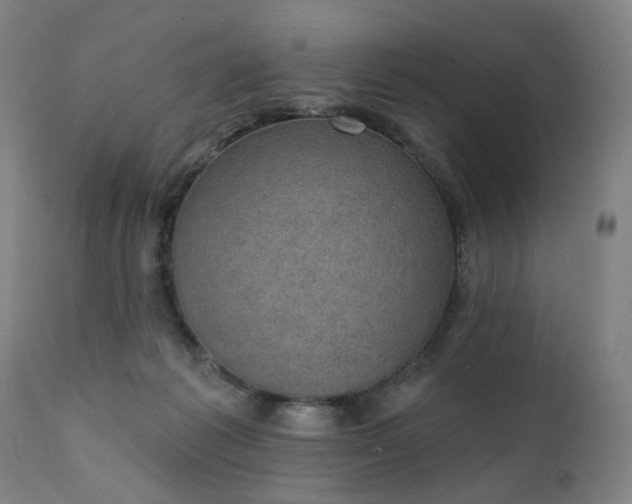 X0000111220221200907091320