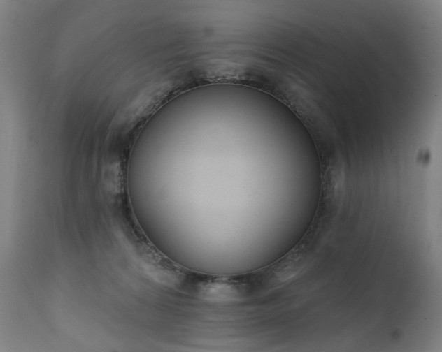 X0000111220224200907091320