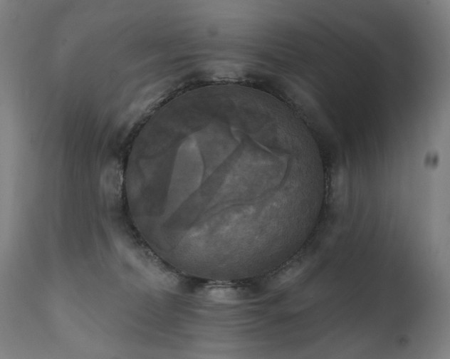 X0000111220228200907091320