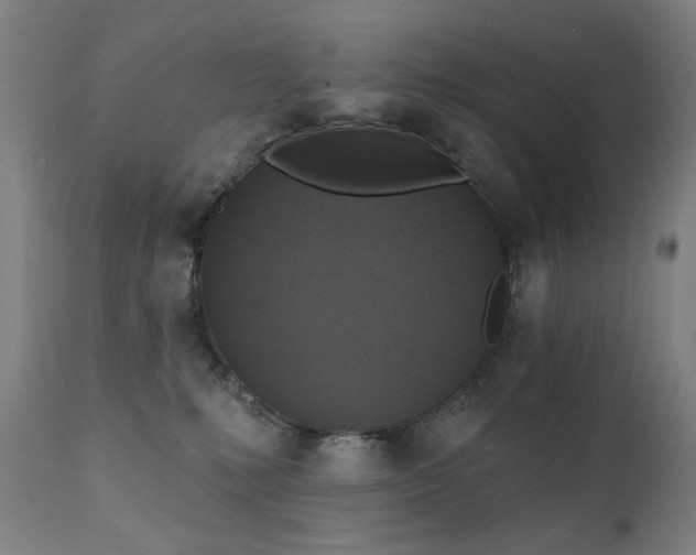 X0000111220231200907091320
