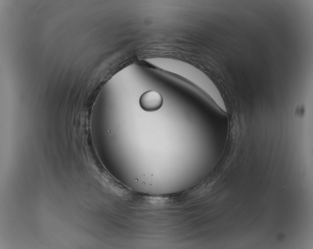 X0000111220233200907091320
