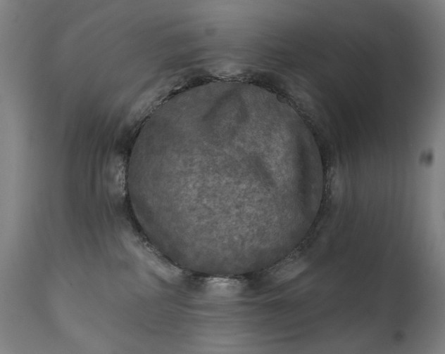 X0000111220234200907091320