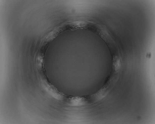 X0000111220235200907091320