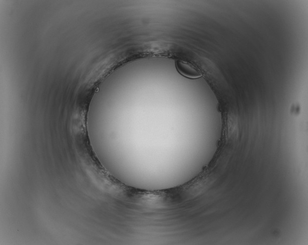 X0000111220236200907091320