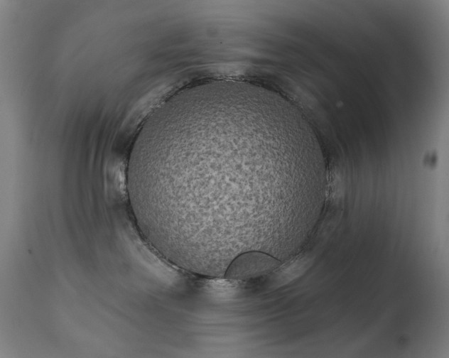 X0000111220238200907091320
