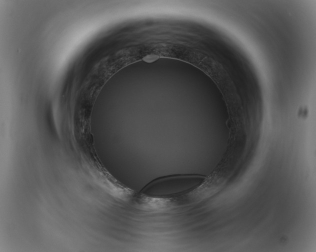 X0000111220239200907091320
