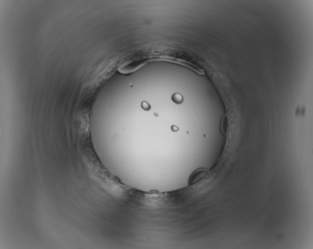 X0000111220240200907091320