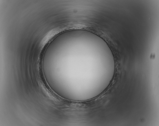 X0000111220242200907091319