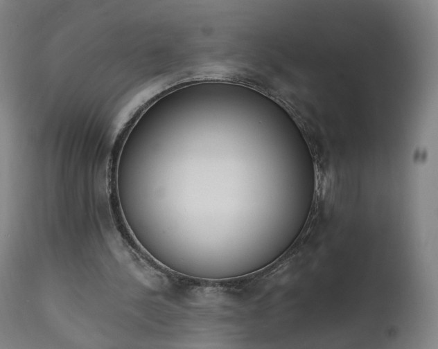 X0000111220244200907091319