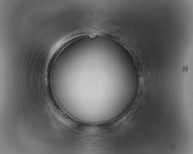 X0000111220246200907091319