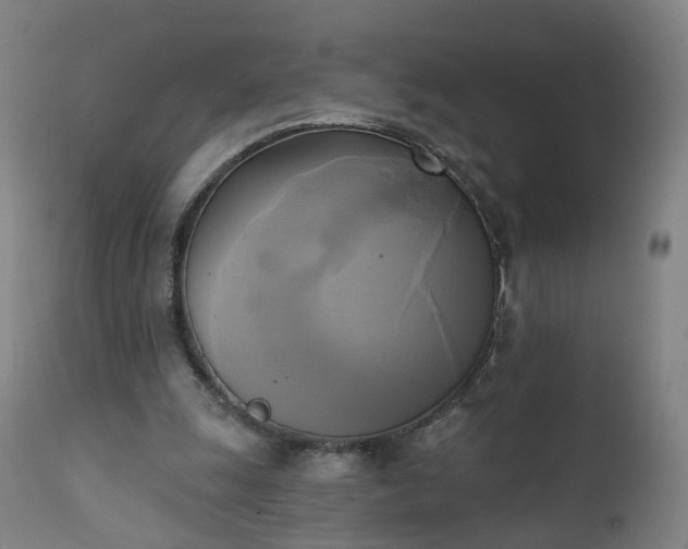 X0000111220247200907091319
