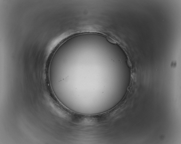 X0000111220248200907091319